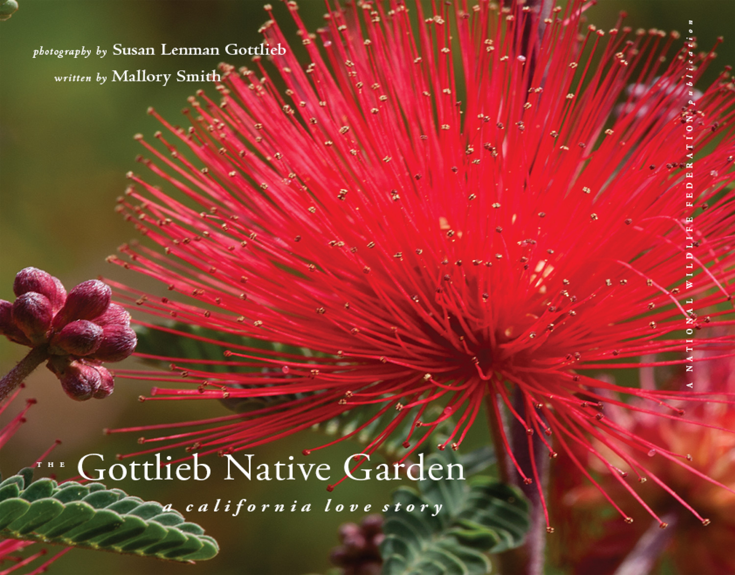 GNG_California-Book-Cover-1