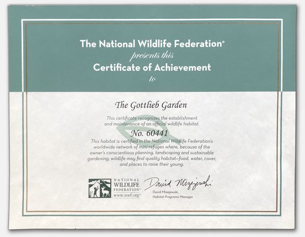 GNG_NWF_Cert_KO_04