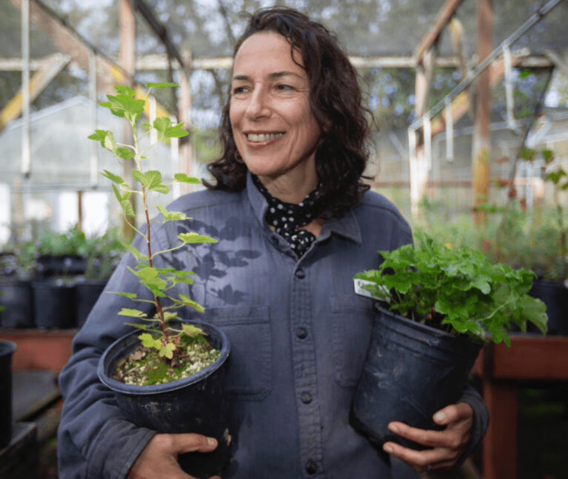 The wonders of native plants Gottlieb Native Garden
