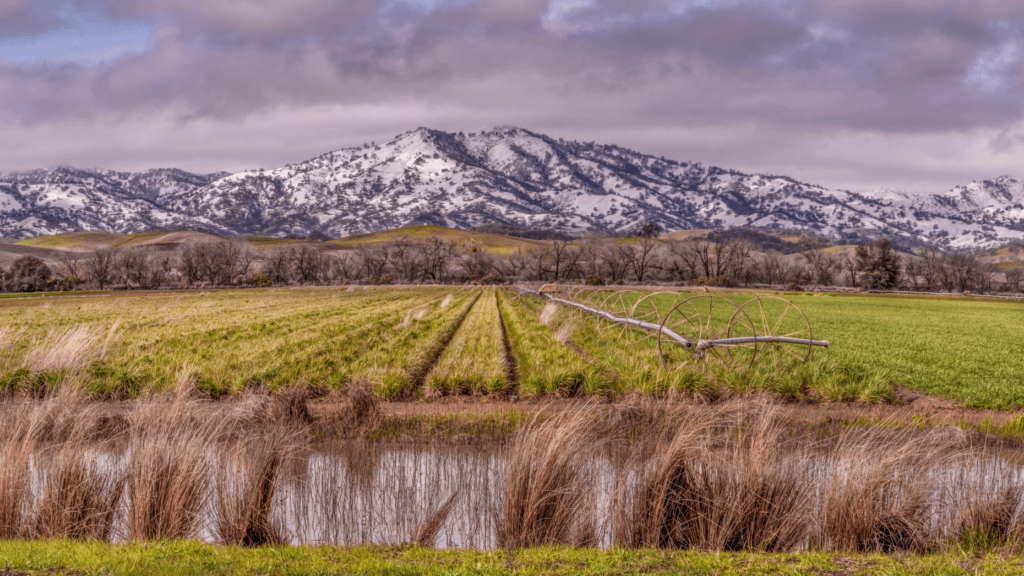 California seed collectors help restore areas devastated by wildfires ...