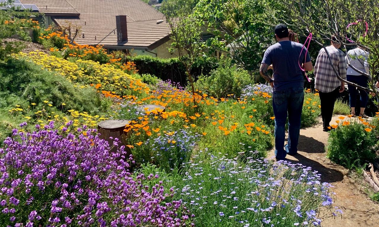 California Native Plant Society offers free tour of Redlands and