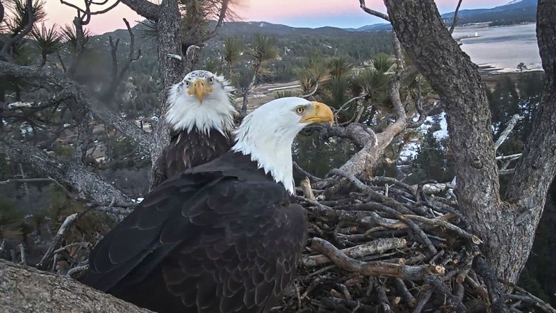 Big Bear Lake is home to a growing tourist economy and a small band of ...